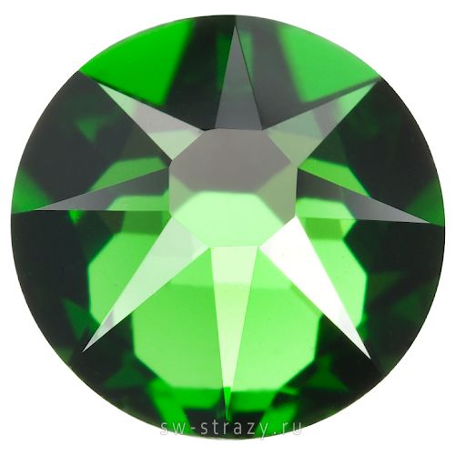 2088 ss 20 Fern Green F