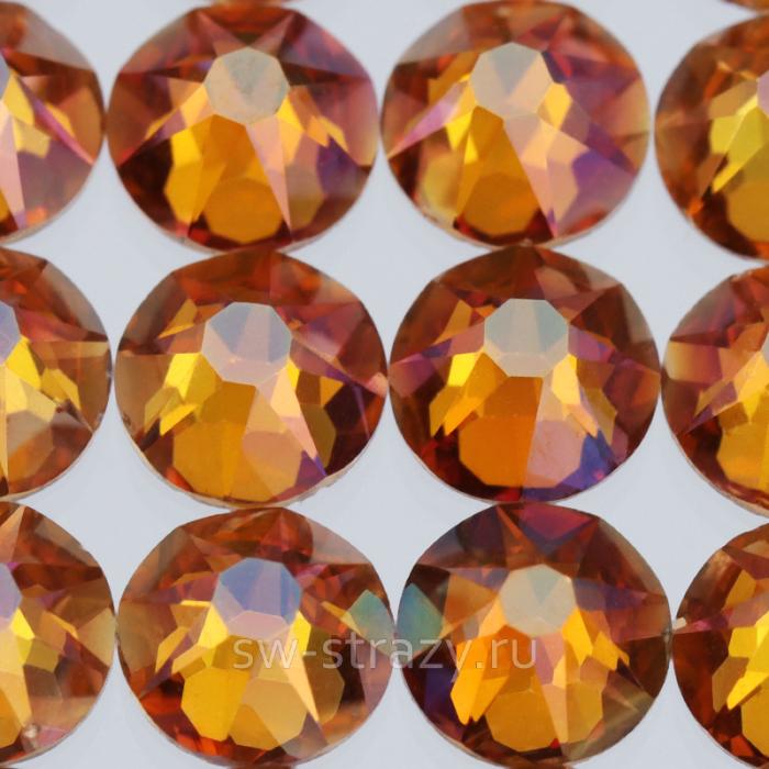 C88 ss16 Coffee K9 F